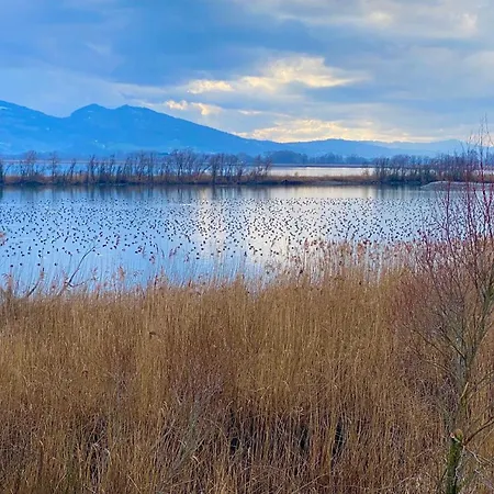 Little Tiny Village Haus 4 Apartment